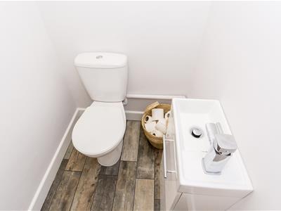 Picture 15
